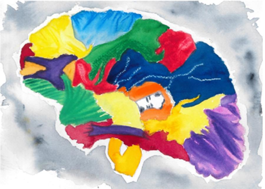 The Human Brain Painting by Diane Chinn