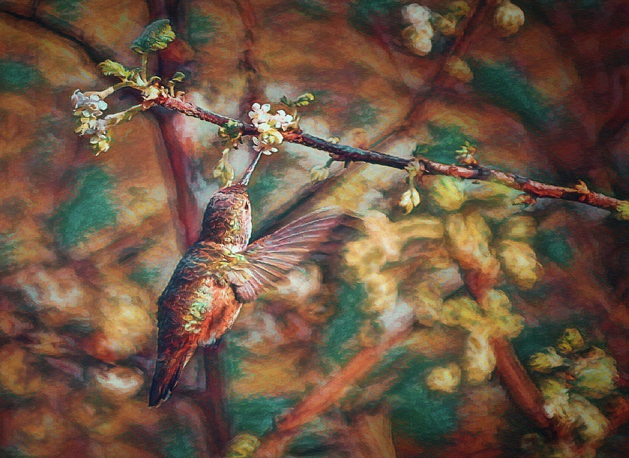 The Hummingbird 2 Digital Art by Ernest Echols