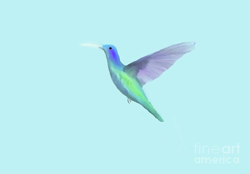 The hummingbird  Digital Art by Elaine Hayward