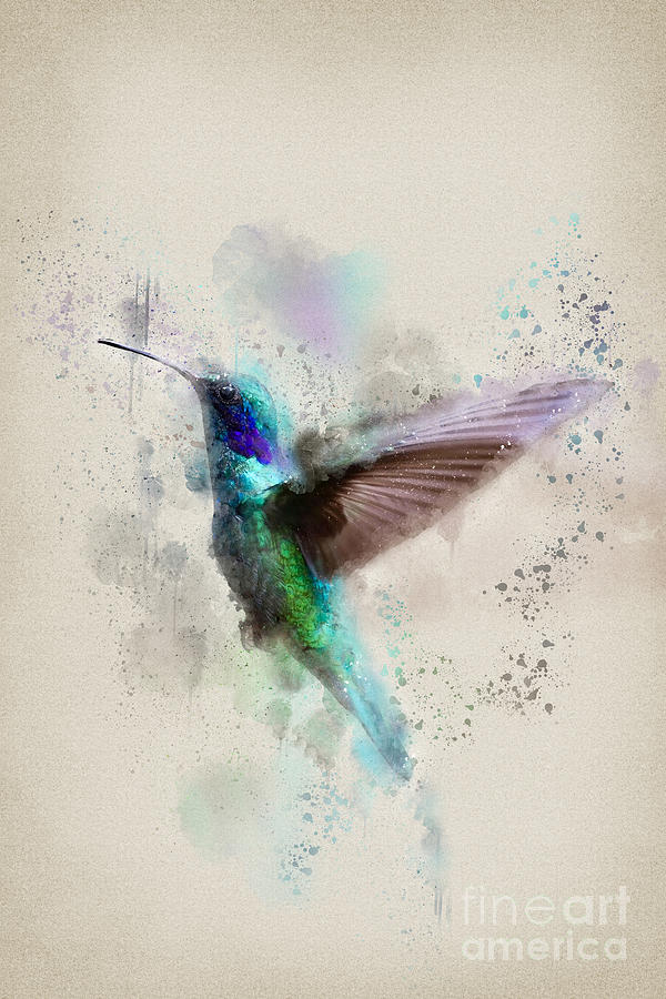 The Hummingbird Digital Art by Ema Paraschiv The Hummingbird Digital Art by Ema Paraschiv