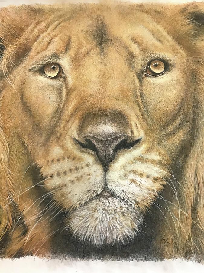 The Hunter Pastel by Joanne Ballard - Fine Art America