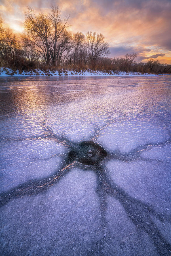 The Ices Eye Photograph by Darren White