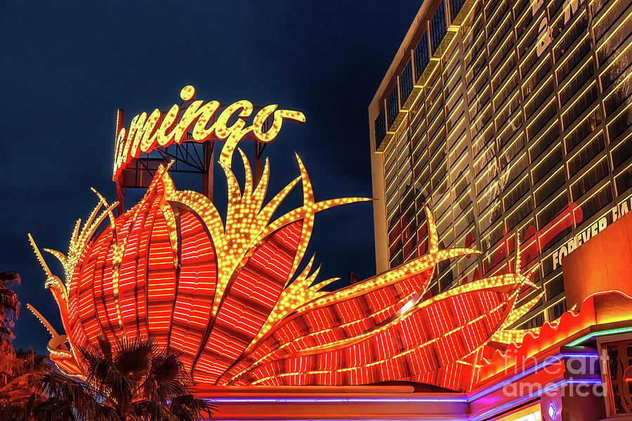 The iconic feather display above the entrance of the famous Flamingo Hotel and casino, the oldest hotel on the Strip, Las Vegas. Night shot with illuminations. Photograph by Jane Rix