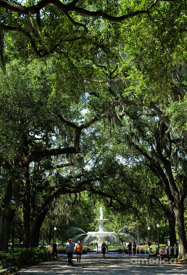 Nature Photograph - The Iconic Fountain at Forsyth Park Historic Savannah Georgia by Wayne Moran