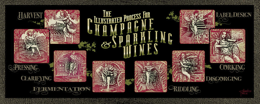 The Illustrated Process For Champagne And Sparkling Wine Mixed Media