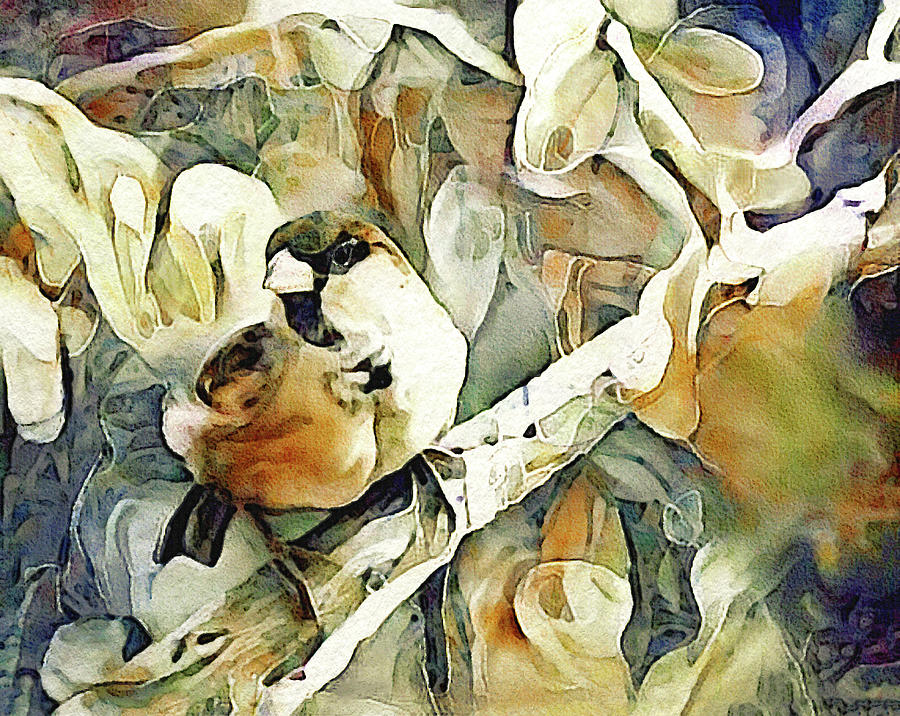 The Inquisitive Sparrow Digital Art by Susan Maxwell Schmidt