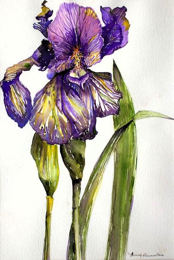 The Iris Painting by Mindy Newman