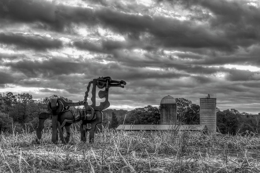 The Iron Horse Sunrise 8 B W University of Georgia Iron Horse Farm Agriculture Art Photograph by Reid Callaway