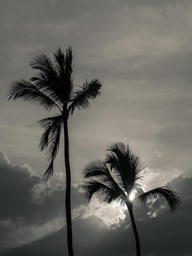 The Island Sun Photograph by Alex Lapidus
