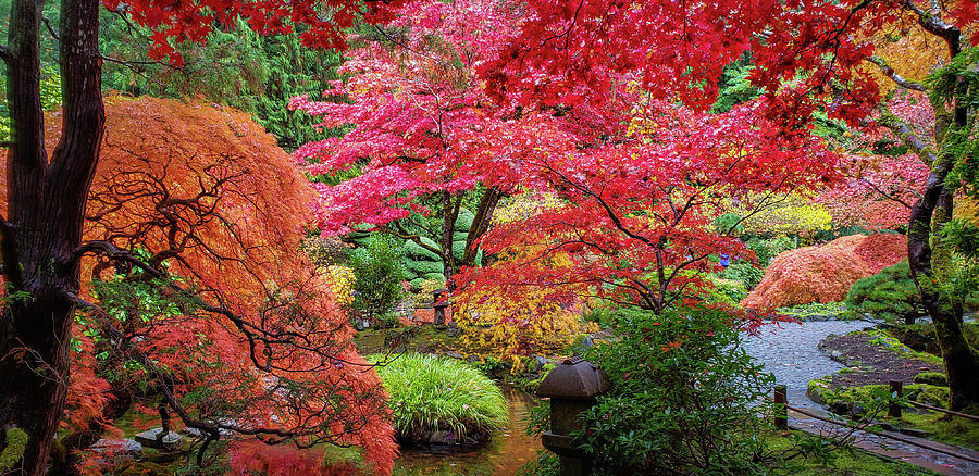 The Japanese Garden Photograph by Bill Cubitt