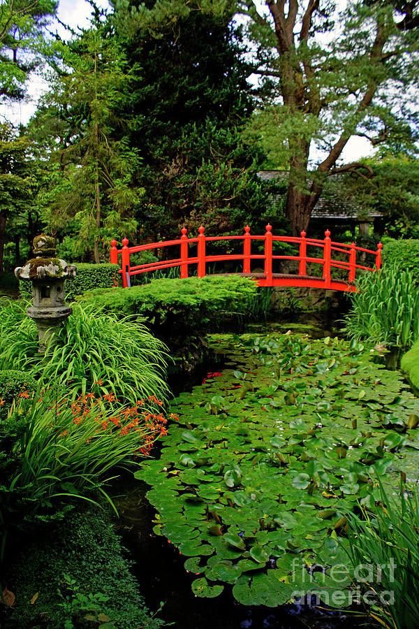 The Japanese Gardens Photograph by Bob Martin - Fine Art America