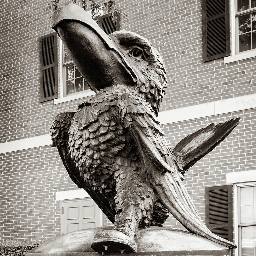 The Jayhawk Sculpture - Lawrence Kansas KU Campus Sepia 1x1 Photograph by Gregory Ballos