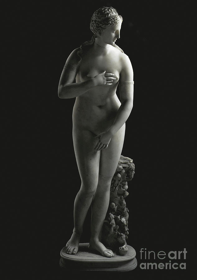 The Jenkins Venus Sculpture by Roman School