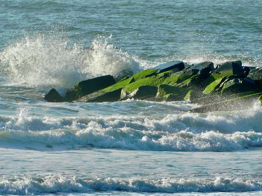 The Jersey Shore 2023 Photograph By Arlane Crump Fine Art America