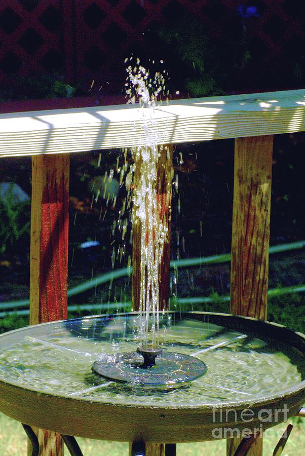 The Joy of a Summertime Sprinkler Photograph by Margie Avellino