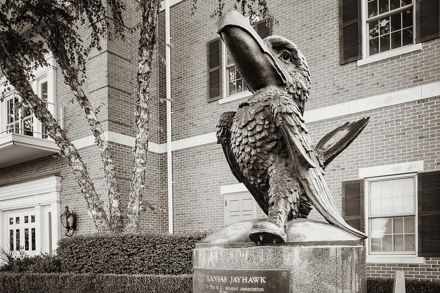 The Kansas University Jayhawk Sculpture Along The Boulevard - Sepia Photograph by Gregory Ballos