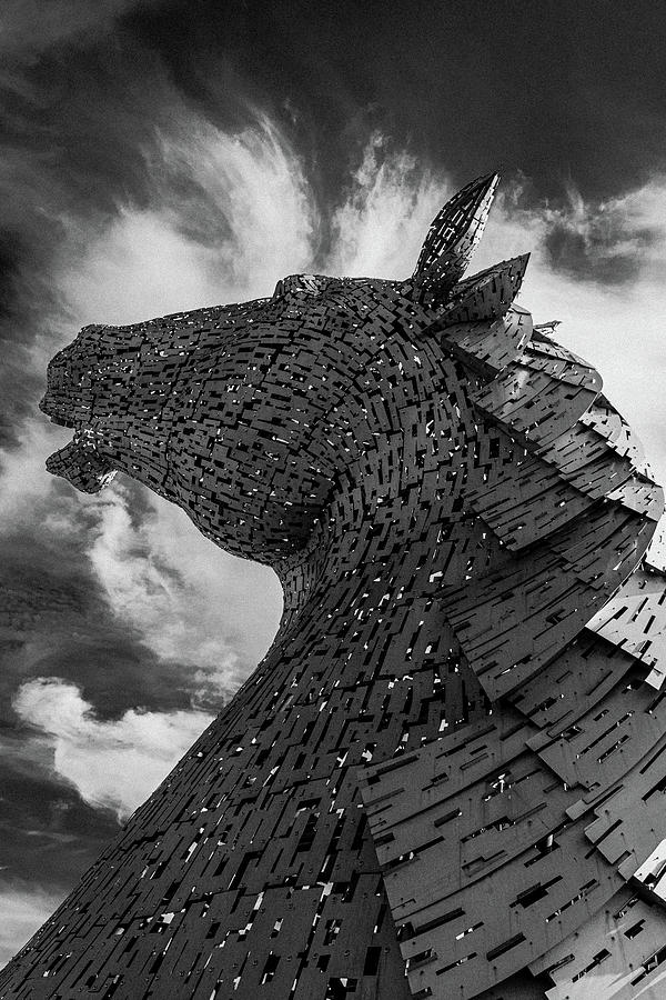 The Kelpie Horse  Photograph by Angela Carrion Photography