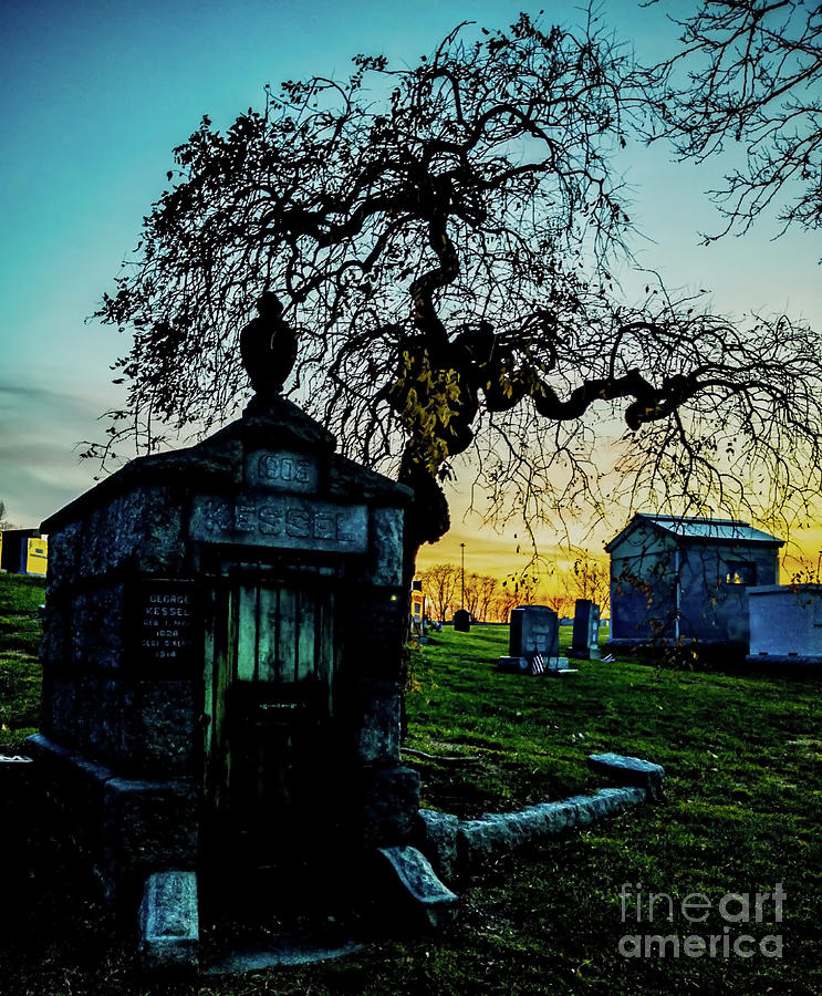 Tree Photograph - The Kessel Tomb by James Aiken