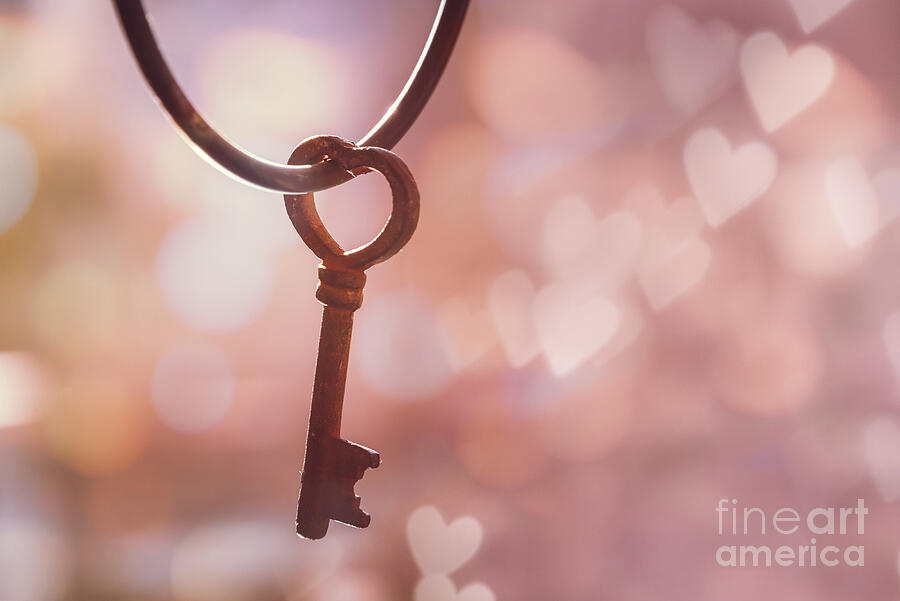 The key to my heart Photograph by Delphimages Photo Creations