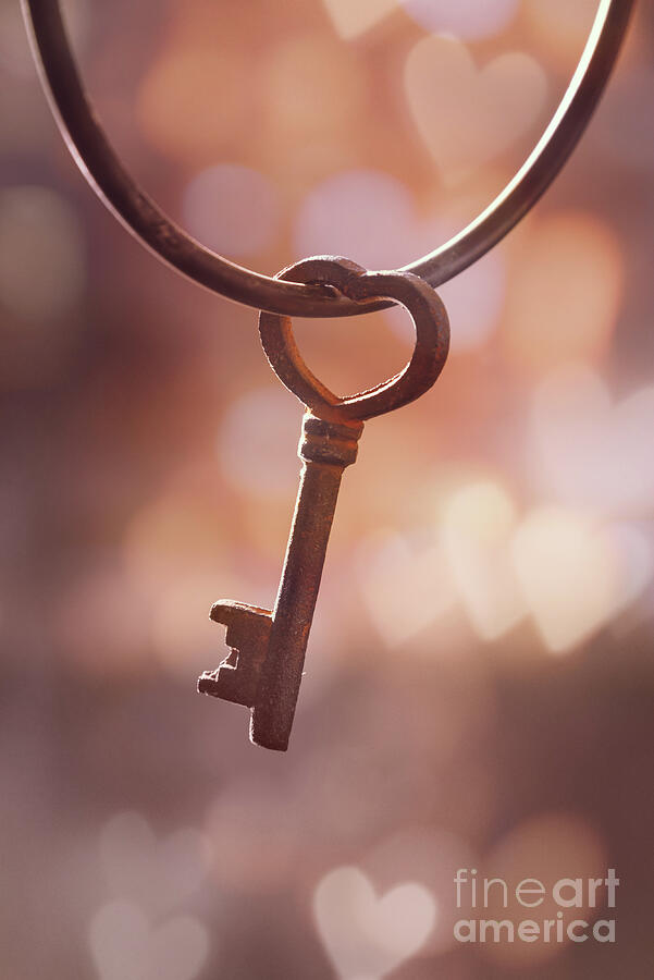 The key to my heart - vertical Photograph by Delphimages Photo Creations