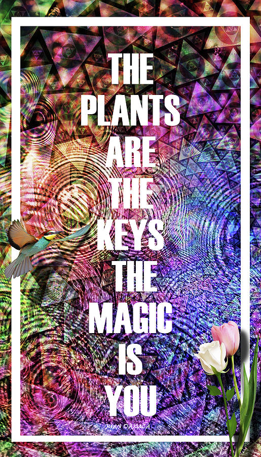The Keys.....to The Magic Digital Art by J U A N - O A X A C A