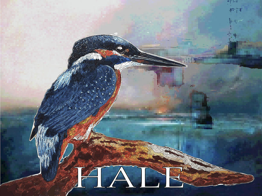 Animal Digital Art - The Kingfisher by Roger D Hale