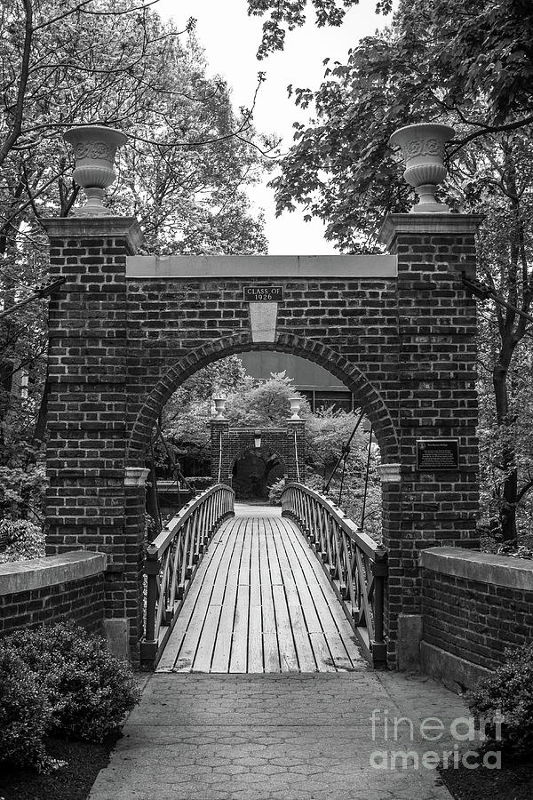 The Kissing Bridge in Black and White Photograph by Colleen Kammerer