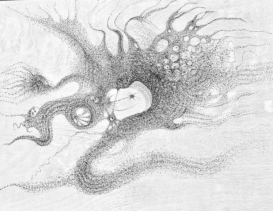 The Kite Drawing by Franci Hepburn