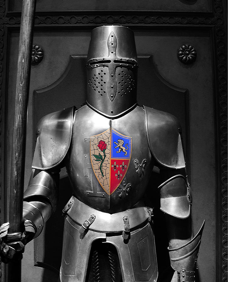 The Knight Of The Rose Photograph