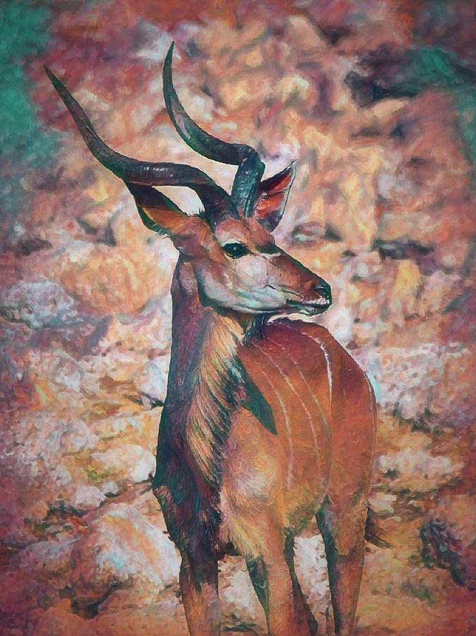 The Kudu in Namibia DA Digital Art by Ernest Echols