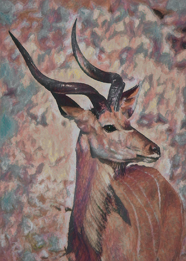 The Kudu Portrait 3 Photograph by Ernest Echols
