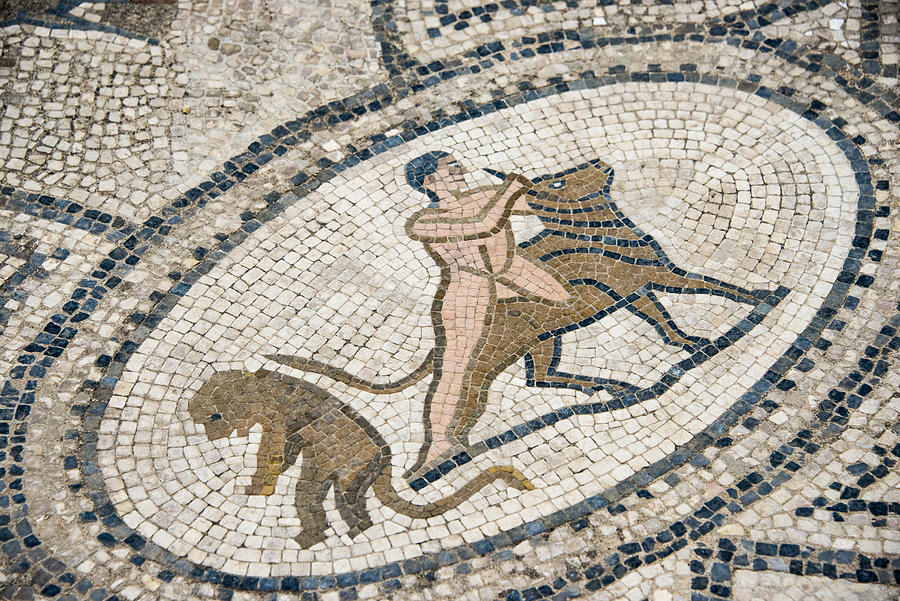 The labours of Hercules, Floor mosaic, Roman archeological site in Volubilis, Morocco Photograph by Paul Biris