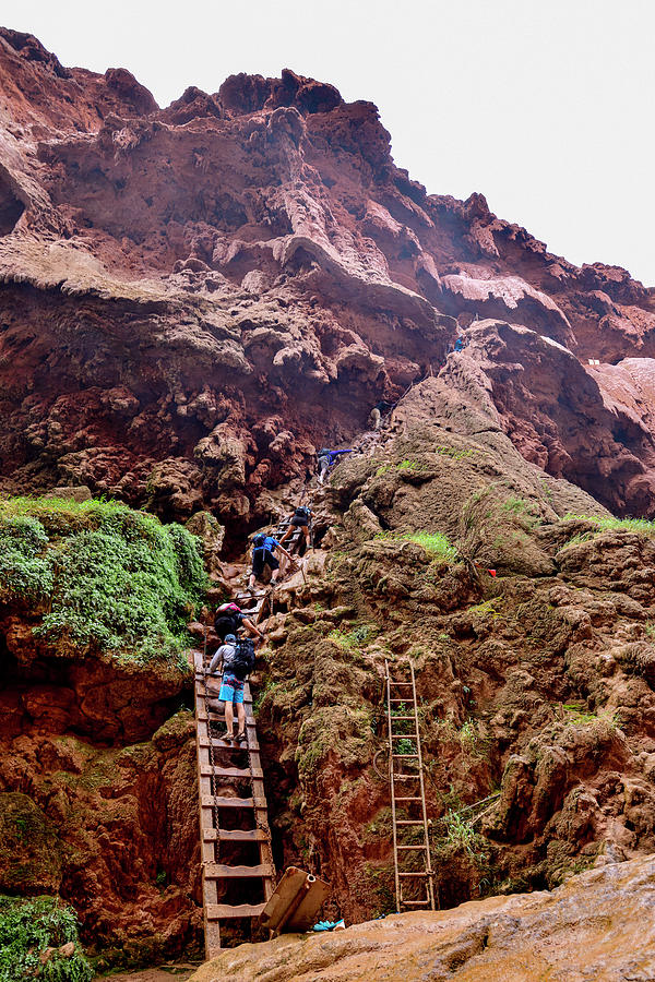 The Ladder at Mooney Falls Photograph by Amazing Action Photo Video