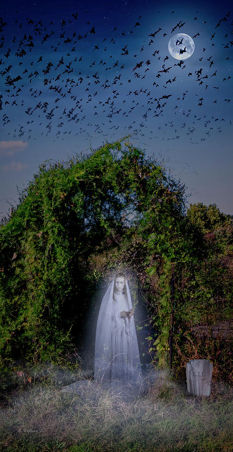 The Lady In White Photograph by Brian Wallace