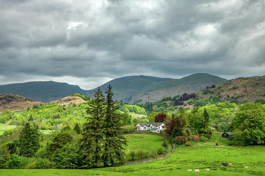 The Lake District, Pride of England Photograph by Marcy Wielfaert