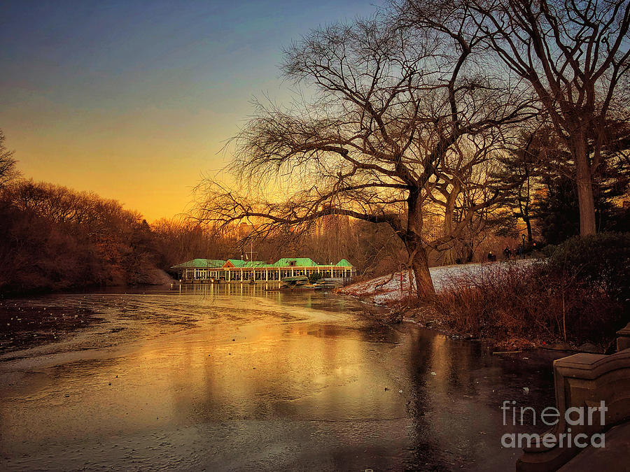 The Lake in Winter - Central Park New York Photograph by Miriam Danar