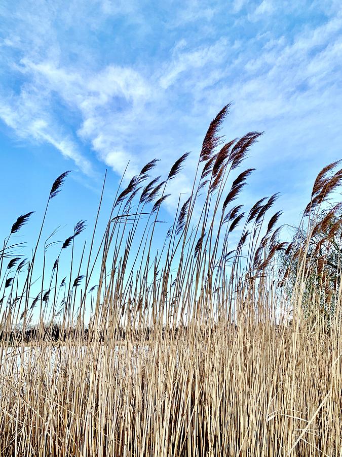 The Lake Photograph by Jennifer Zegarra - Fine Art America