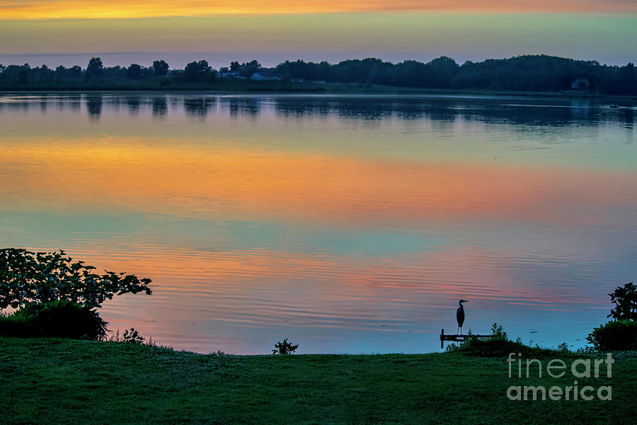 The Lake Reflects the Sunset with Heron Photograph by David Arment