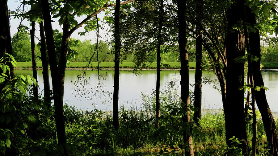 The Lake Through the Trees Photograph by Kimberly Mackowski