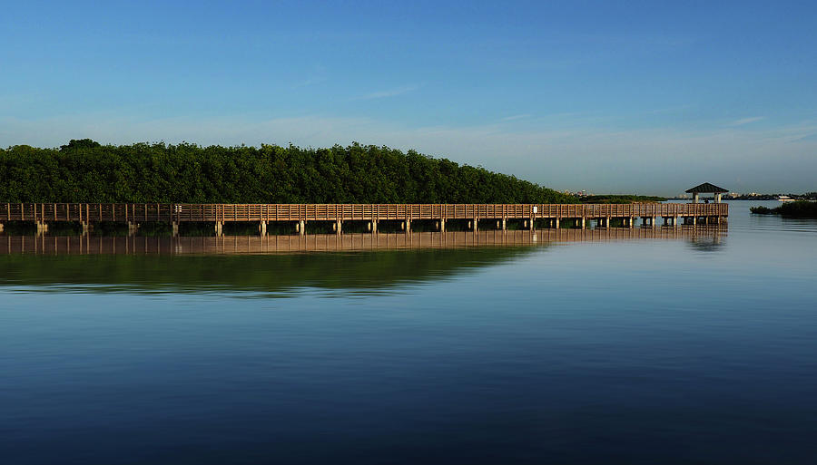 The Lake Worth Lagoon Photograph by Luz Resto The Lake Worth Lagoon Photograph by Luz Resto