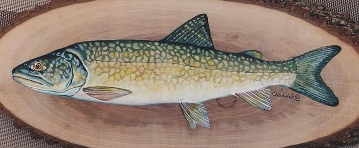 Trout Painting - The Lakers by Phil Chadwick
