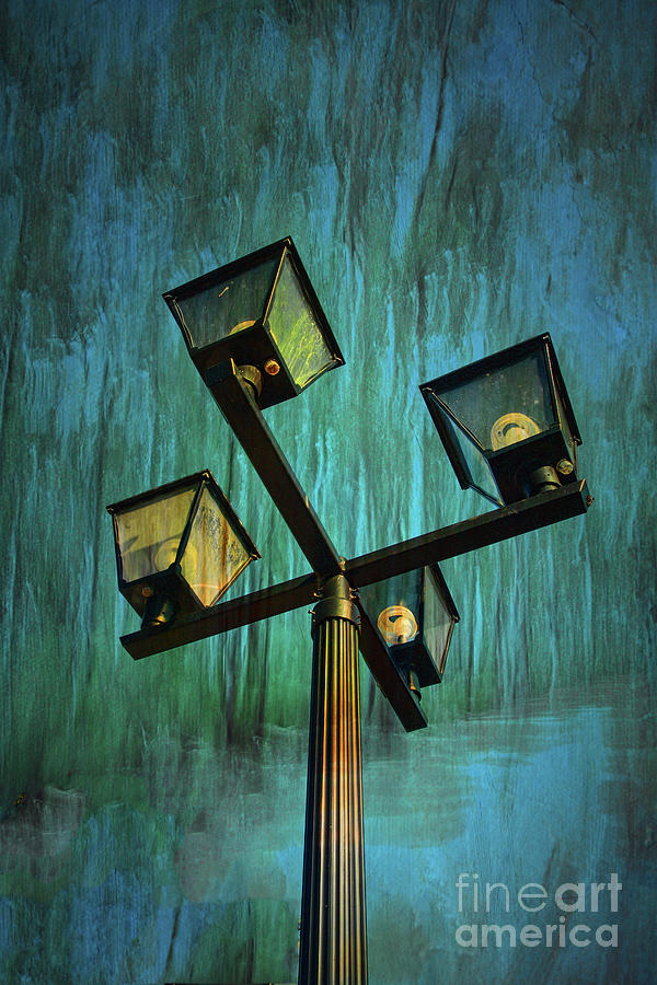 The Lamp Post Photograph by Elaine Teague