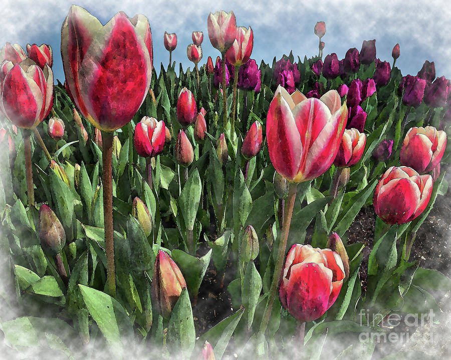 The Land Of Tulips Digital Art by Kirt Tisdale
