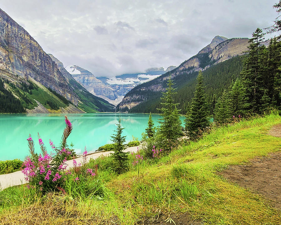 The Landscape of Lake Louise Photograph by Terri Morris
