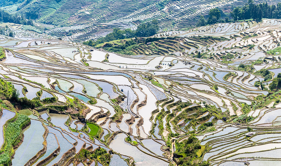 The landscape of terraced fields Photograph by Zhouyousifang