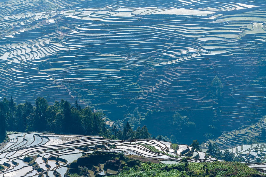 The landscape of the terraced fields Photograph by Zhouyousifang