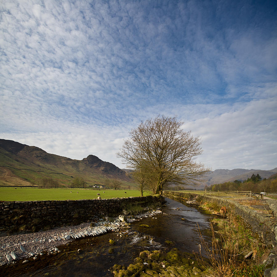 The Langdale Valley, Lake District, Cumbria Photograph by s0ulsurfing - Jason Swain