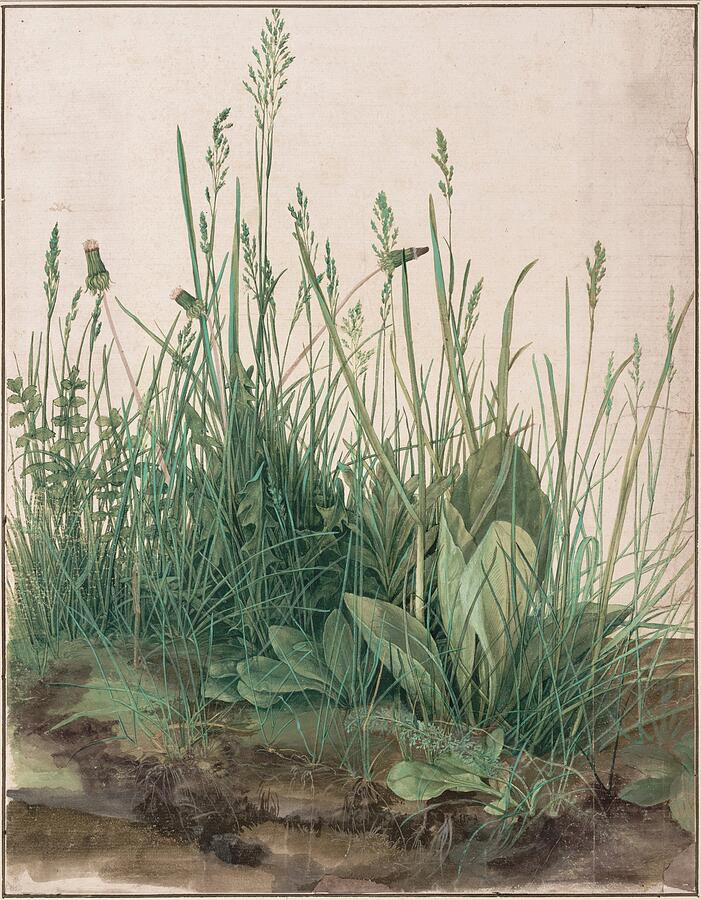 The Large Piece of Turf, 1503 - Albrecht Durer Digital Art by Samuel HUYNH The Large Piece of Turf, 1503 - Albrecht Durer Digital Art by Samuel HUYNH