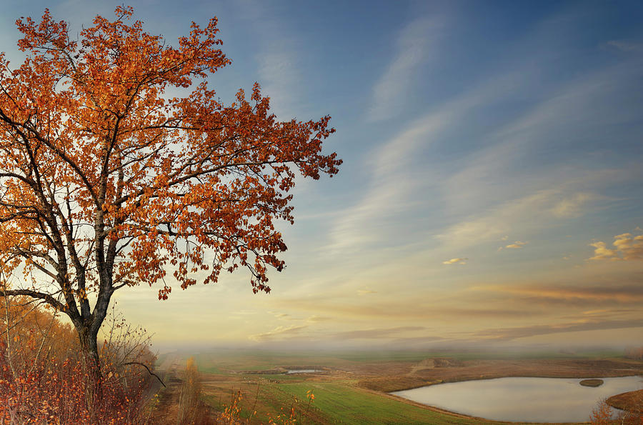 The Last Autumn Colours Photograph by Dan Jurak
