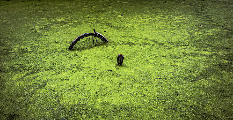The Last Bike Ride Photograph by Wim Lanclus